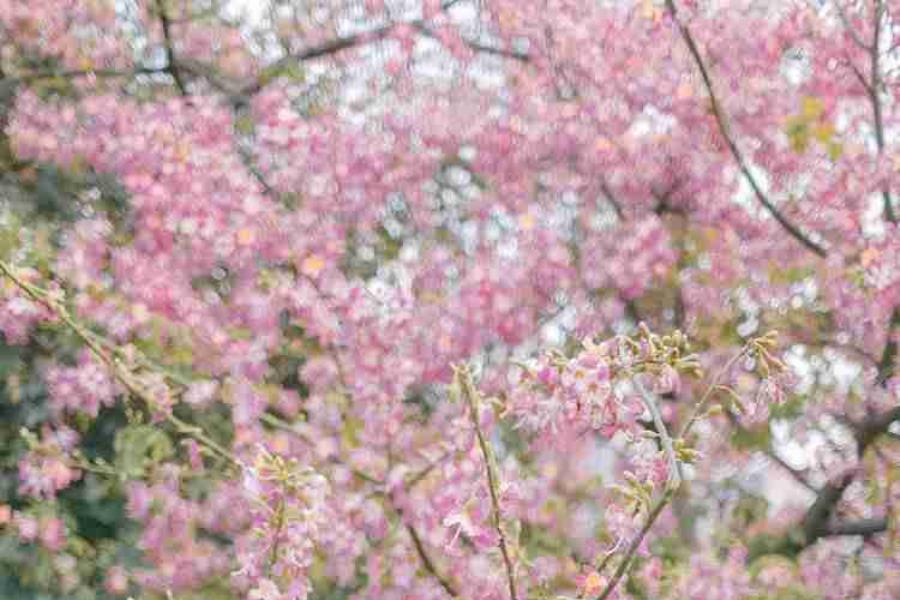 珠海陪玩妹子化妆师祝文南